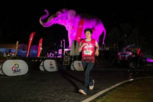 BIB: 
                            <button type="button" onclick="openModal(26534875)" class="btn btn-primary btn-sm float-right btn-popup" data-toggle="modal" data-target=".modal-high-quality">
                        <i class="fas fa-shopping-cart"></i> Add to Cart
                    </button>
                                            <button type="button" onclick="isThisMe(26534875, true)" class="btn btn-success btn-sm float-right btn-popup btn-isme hidden" data-toggle="tooltip" data-placement="bottom" title="นี่คือรูปของคุณใช่ไหม คลิกที่นี่เพื่อเอาเข้าอัลบั้ม">
                        <i class="fas fa-plus"></i> Add to album
                    </button>
                    <button type="button" onclick="isThisMe(26534875, false)" class="btn btn-warning btn-sm float-right btn-popup btn-isnotme hidden">
                        <i class="fas fa-ban"></i> Remove from album
                    </button>